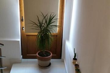 Photo 52