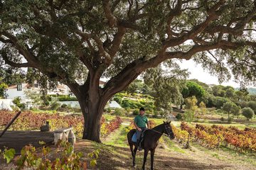 Horseback riding