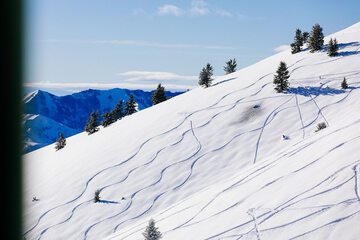 Skiing
