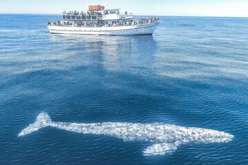 Water Sports 80 of 83