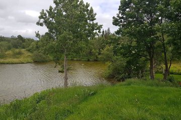 Lake view