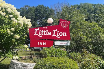 The Little Lion
