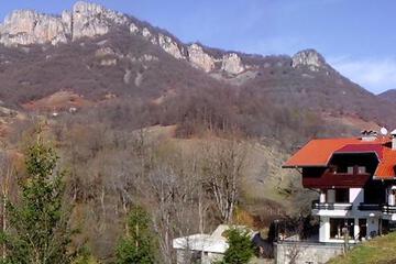 Photo 46