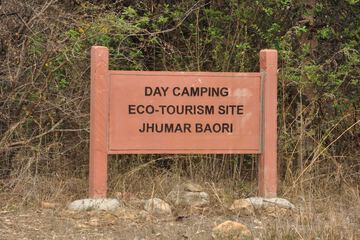 Ecotours