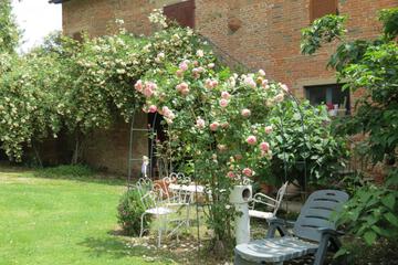 Photo 28