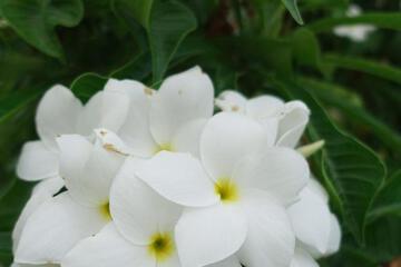 Photo 70