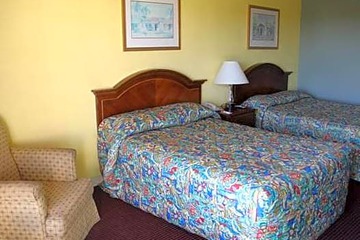 Photo 38