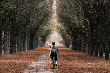 Bicycling