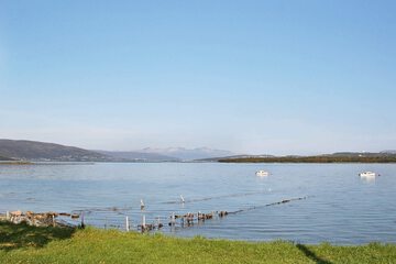 Lake view
