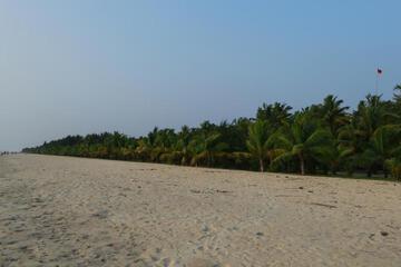 Photo 36