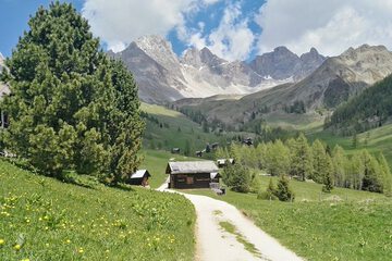 Mountain view