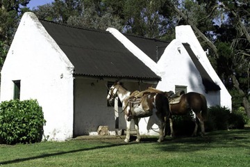Horseback riding