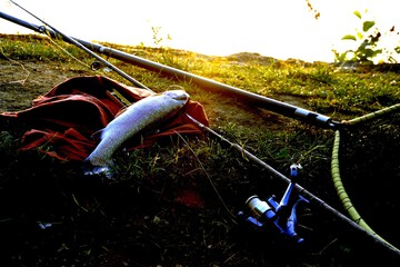 Fishing