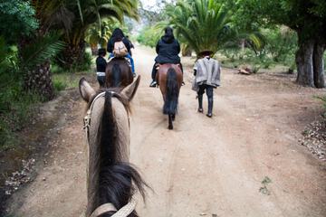 Horseback riding