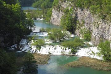 Photo 44