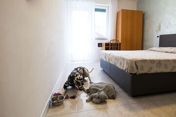 Pet-friendly amenities