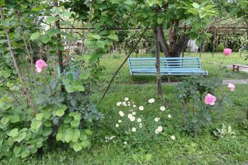 Photo 75