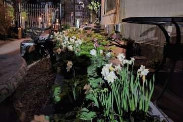 Terrace/Patio 88 of 89