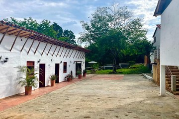 Outdoor wedding area