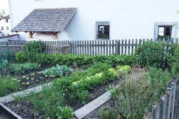 Photo 39