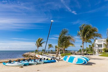 Surfing/boogie boarding
