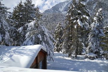 Mountain view