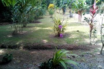 Photo 41