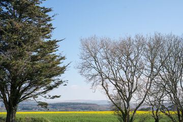 Land view from property