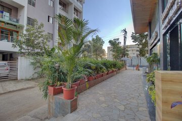 Garden view