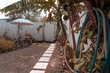 Photo 40