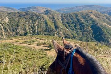 Horseback riding