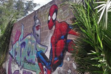 Photo 10