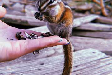 Children's activities