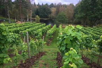 Winery