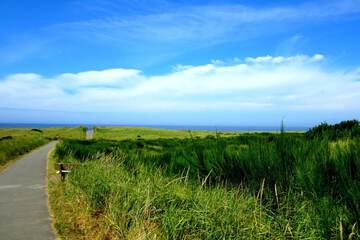 Hiking