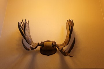 Hotel Interior 6 of 41