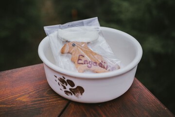 Pet-friendly amenities