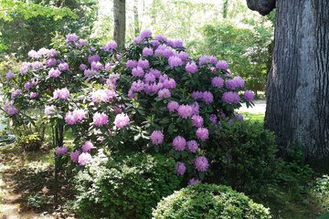 Property Grounds 115 of 116