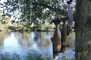 Fishing