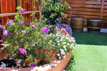 Photo 44