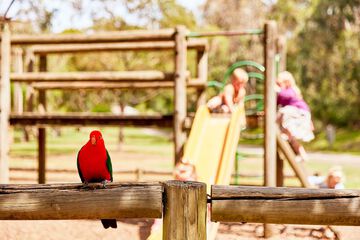 Children's play area - outdoor