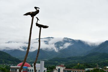 Mountain view