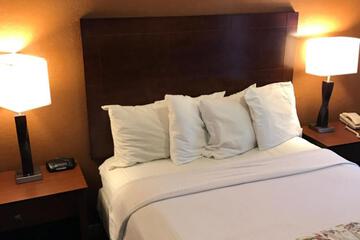 Photo 43