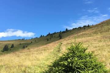 Hiking