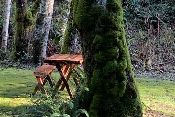 BBQ/picnic area