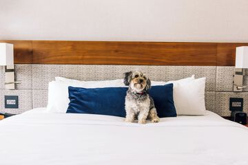 Pet Friendly 88 of 90