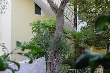 Photo 72