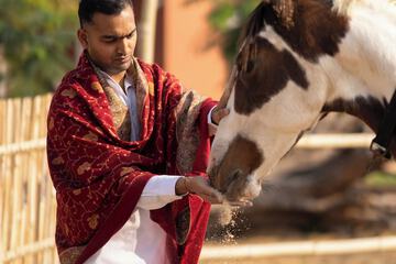 Horseback riding