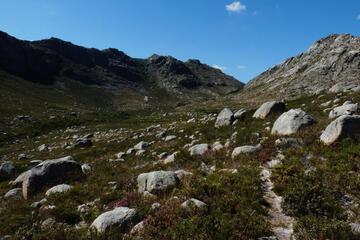 Photo 28