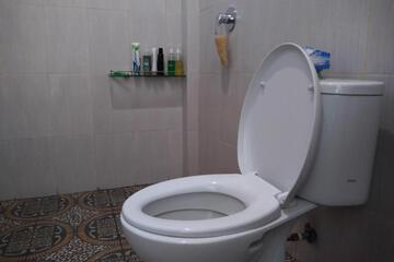 Photo 43